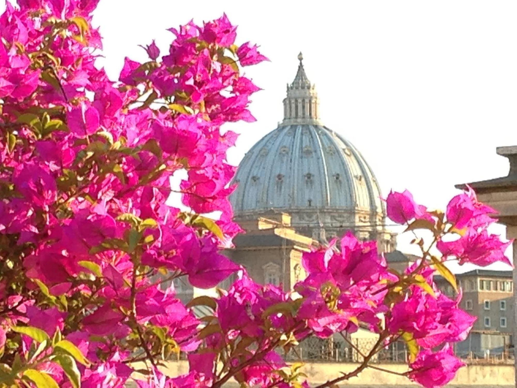 Hotel Dei Consoli Vaticano — Fotos 1